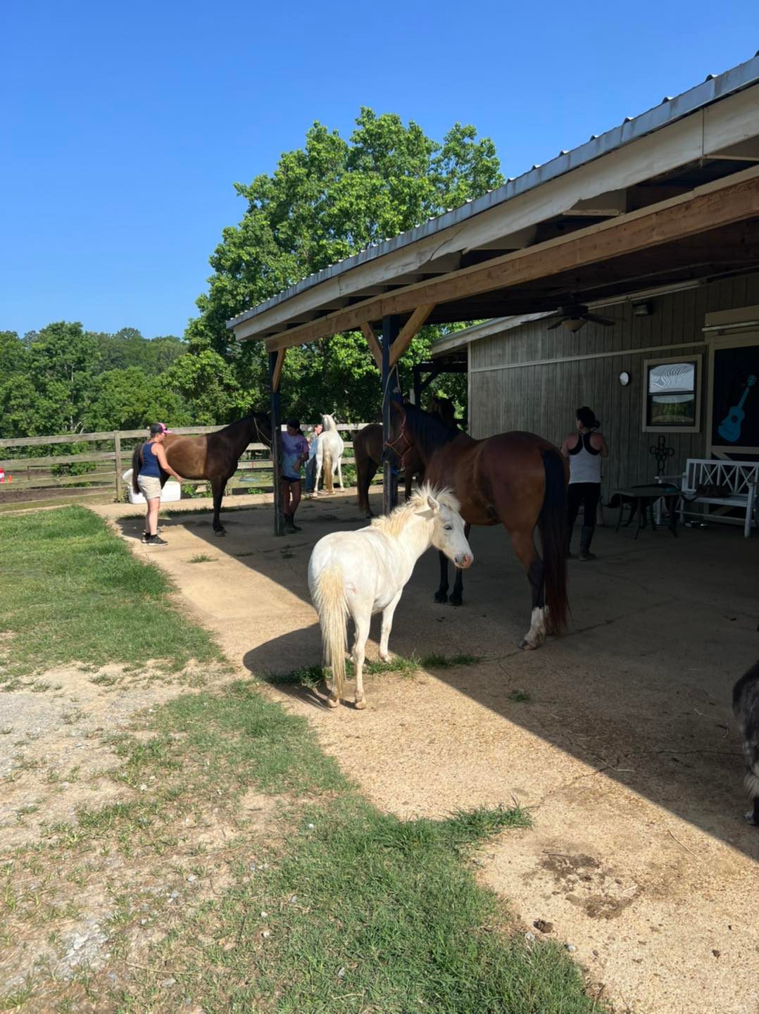 Barn Chores